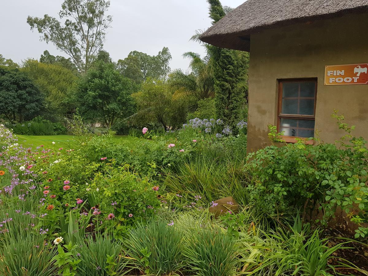 Avoca River Cabins Addo Exteriör bild